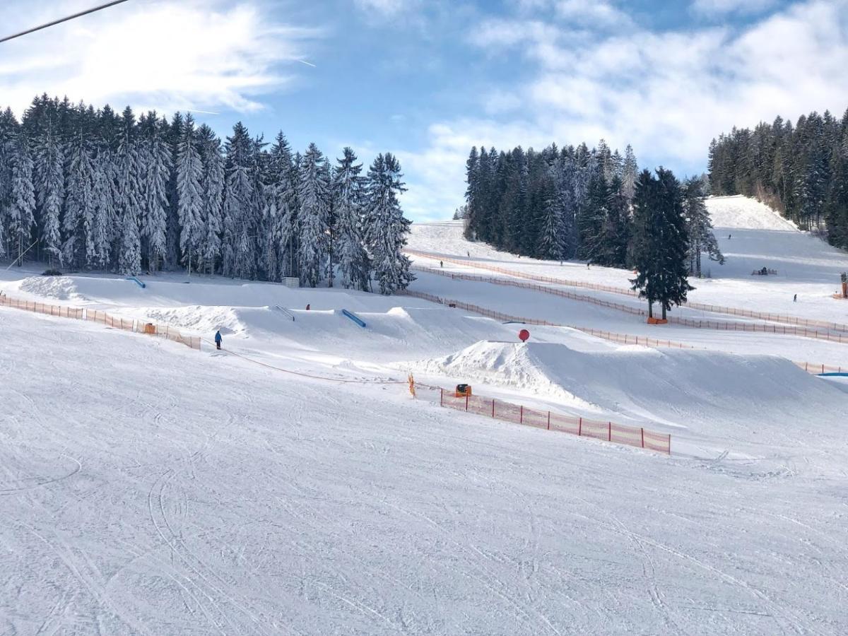 Hotel Fontana Lipno Černá v Pošumaví Zewnętrze zdjęcie