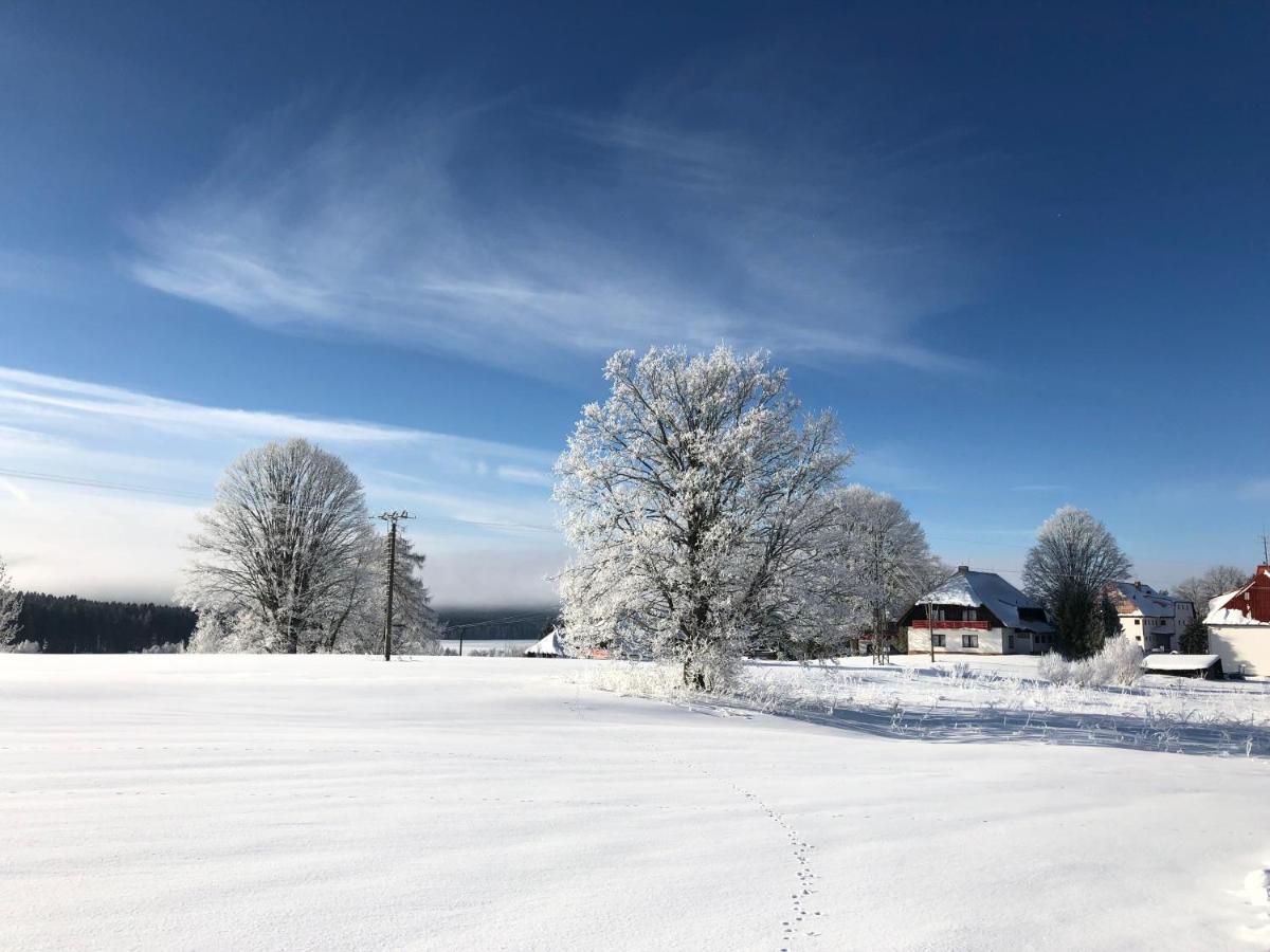 Hotel Fontana Lipno Černá v Pošumaví Zewnętrze zdjęcie